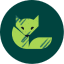 Green_fox